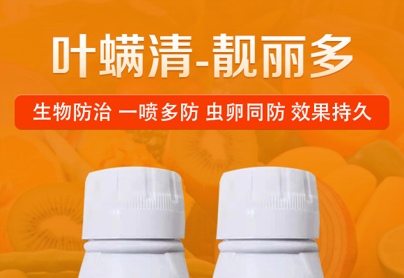 ��ʭ�^-�n����-Ξ���x_01