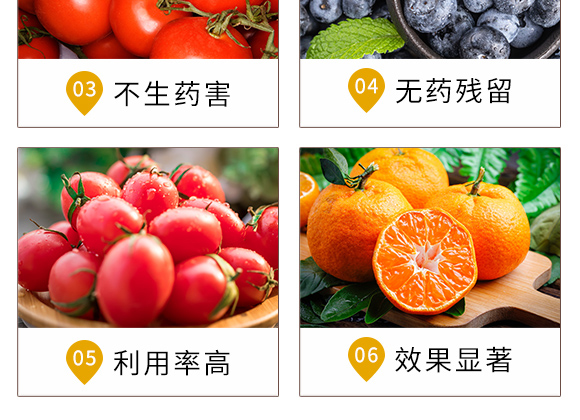 ���x�����܄�-�n����-Ξ���x_05