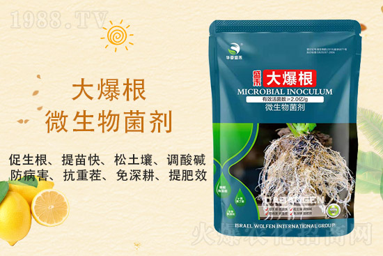 ���@�r��ַ�(w��n)��2021��9��3�����@�r���������