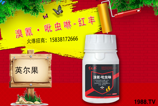 ���x���r��