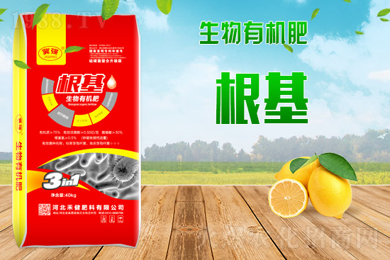 2021��9��6�Շ���(n��i)���׃r������