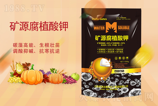 �Ȼ�⛃r����{��2021��9��8��⛷ʃr������