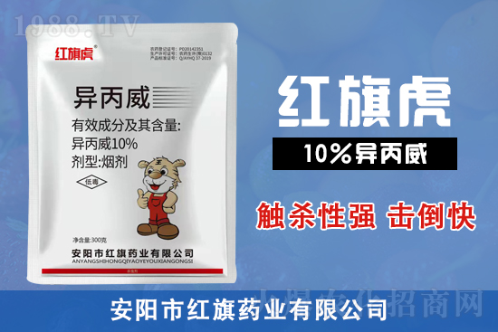 2022��2��6�՗��(sh��)���x(ch��ng)���r(ji��)������