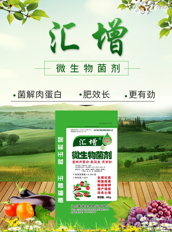 ΢�������-�R��-��������_01