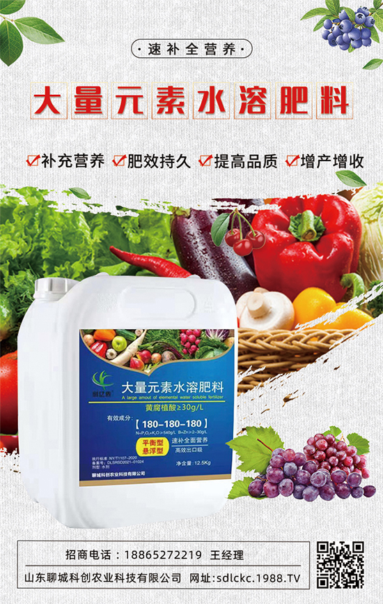 ɽ�|�ĳǿƄ�(chu��ng)�ٺ�1988.TV�����\�������p�A��