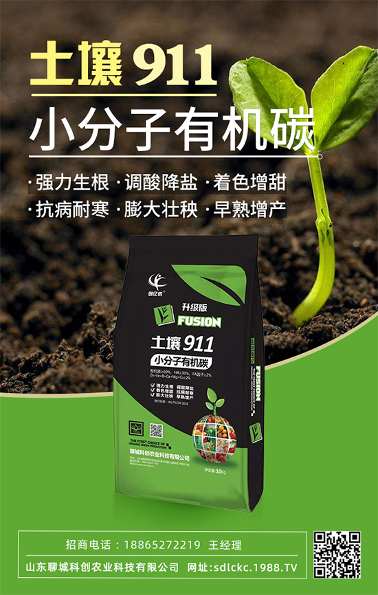 ɽ�|�ĳǿƄ�(chu��ng)�ٺ�1988.TV�����\�������p�A��