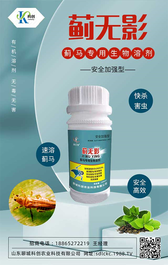 ɽ�|�ĳǿƄ�(chu��ng)�ٺ�1988.TV�����\�������p�A��