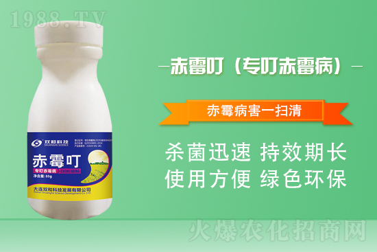 ����������(j��)�����B�p�ͿƼ��ٺ�1988.TV������(chu��ng)���x����