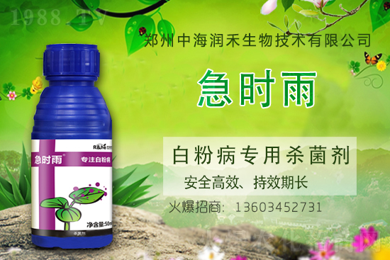 С��������