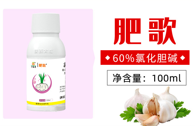 60%�Ȼ�đ�A-�ʸ�_03