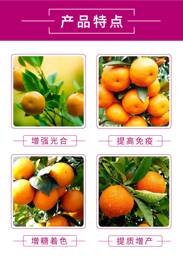 ���Ӽt��-�����r(n��ng)_04