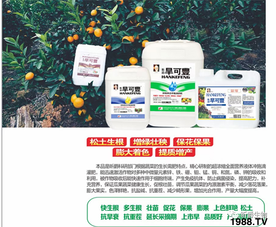 꿾����F(tu��n)84