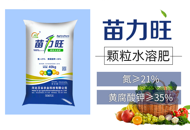 ������-�����r(n��ng)�I(y��)_02