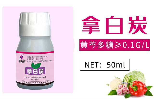 �ð�̿-������-�v�S�r�I(y��)_03