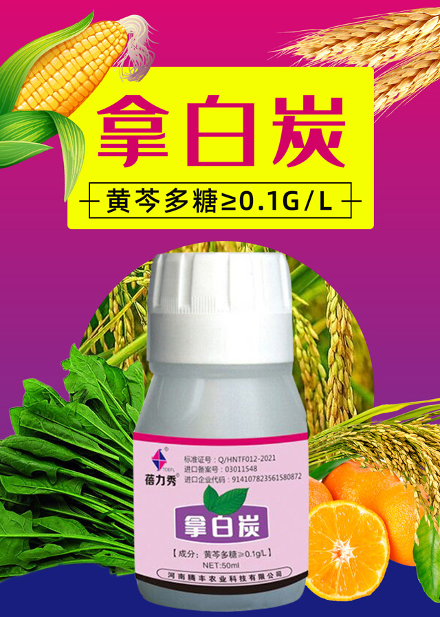 �ð�̿-������-�v�S�r�I(y��)_01