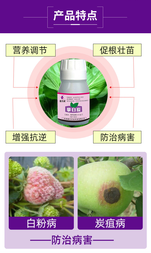 �ð�̿-������-�v�S�r�I(y��)_04