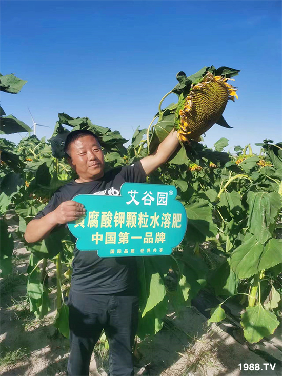 �ӱ������r�I(y��)�Ƽ����޹�˾1