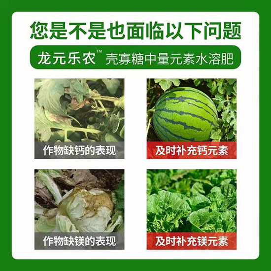 中量元素水溶肥-殼寡糖-龍?jiān)獦?lè)農(nóng)3