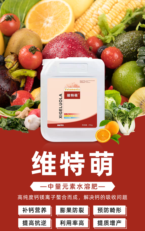 ɽ����(y��u)ؐʩ�r�I(y��)�Ƽ����޹�˾-�S����_01