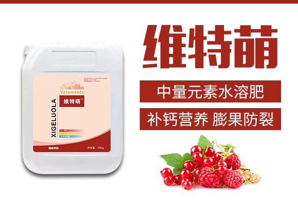 ɽ����(y��u)ؐʩ�r�I(y��)�Ƽ����޹�˾-�S����_02