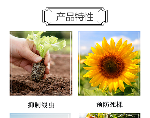 ������Ξ���x(ch��ng)���W(xu��)���޹�˾-�δ�(d��)��_04