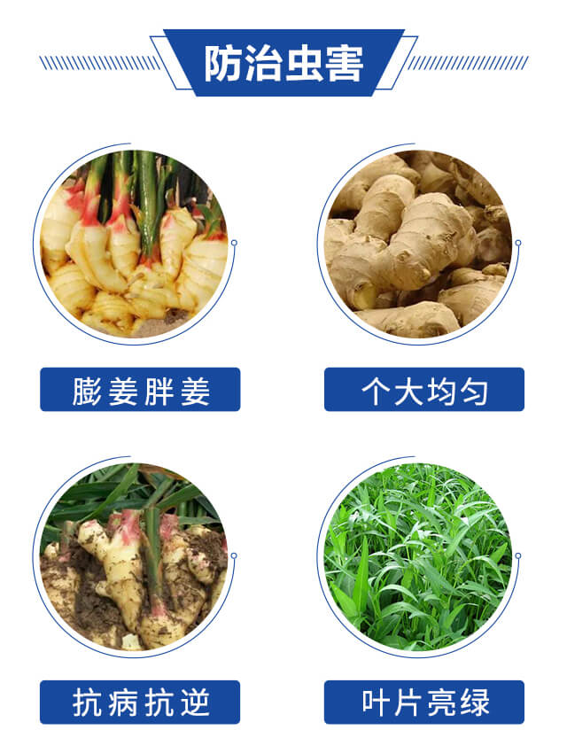 �����-�G����_03