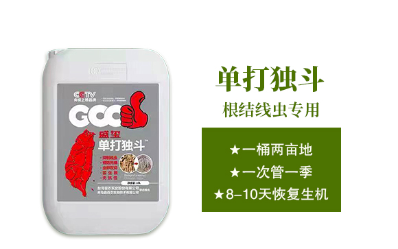 ������Ξ���x(ch��ng)���W(xu��)���޹�˾-�δ�(d��)��_02