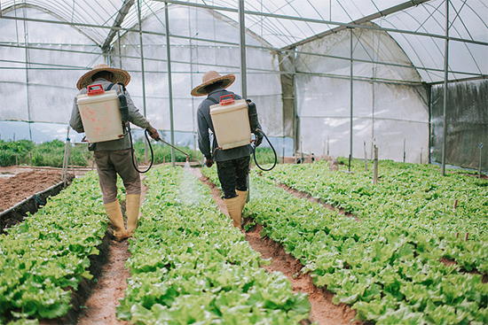 �ذ������ߌóɶ��N�I(y��)���[��(hu��)���n11��18��