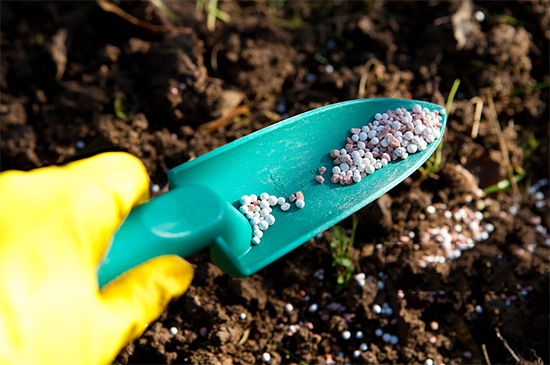 �ذ������ߌóɶ��N�I(y��)���[��(hu��)���n11��18��