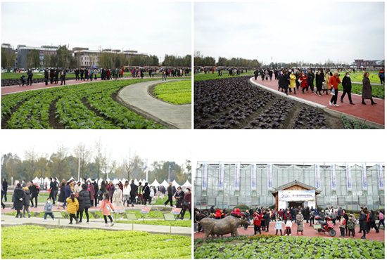 �ذ������ߌóɶ��N�I(y��)���[��(hu��)���n11��18��