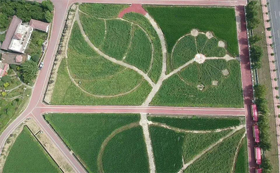 �ذ������ߌóɶ��N�I(y��)���[��(hu��)���n11��18��