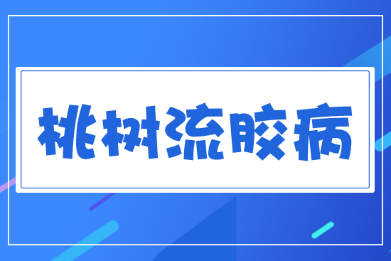 �Ҙ�(sh��)���z��