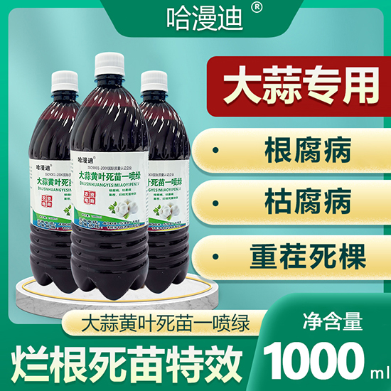 �����S�~����һ���G-�ο�ֲ��2