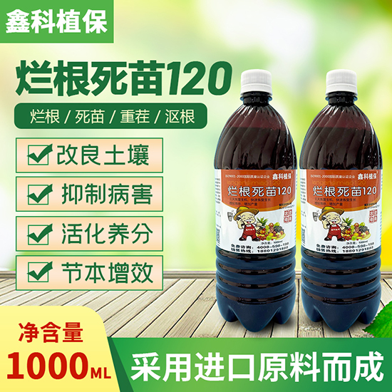 ֲ����������120-�ο�ֲ��2