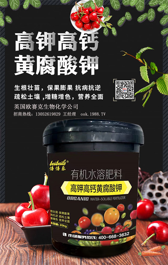 һ���S�����=�����������������ЙC(j��)�ʣ��S����⛞�����������