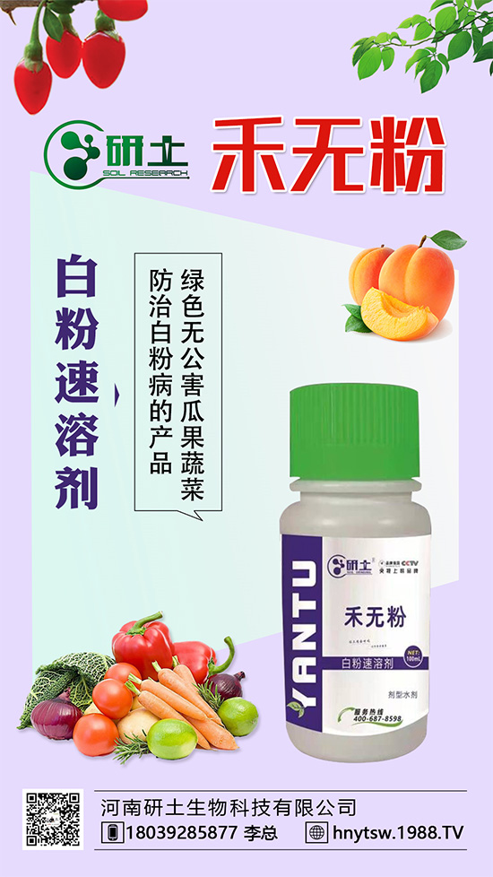 ���Ѱ׷۲��������l(f��)���������ֱ�׷۲���