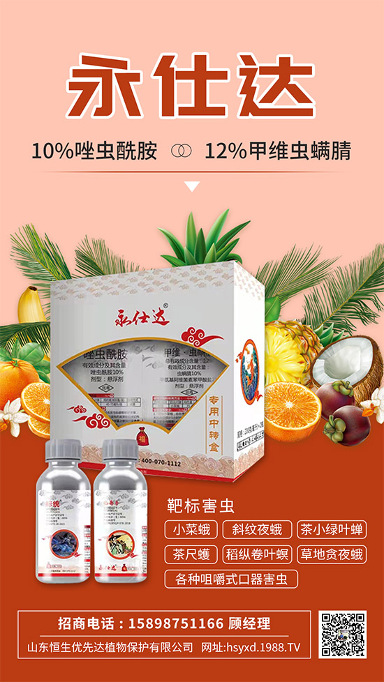 С�˶��η����y��С�˶�Σ���Y����δ�ʩ��