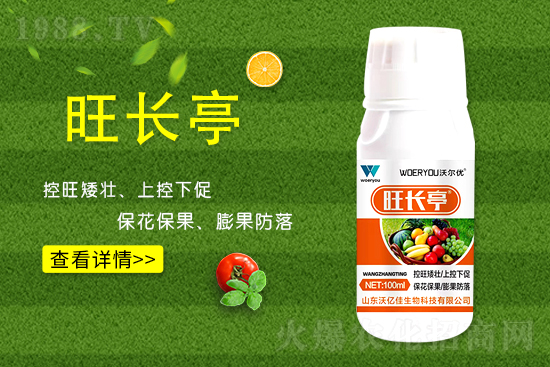 ʲô���S�����L���S�����L�ķ��ش�ʩ