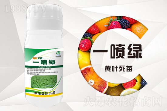 �����߲������ʲô������������ô��Q��