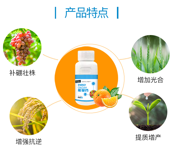 護果國際855862_03