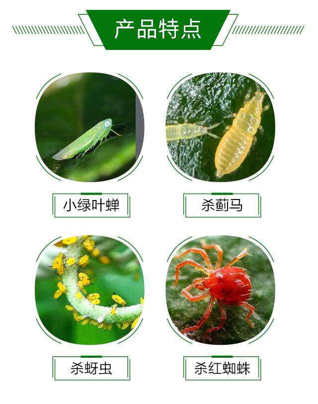 20%���x�����ȷ����t��-�{��_03