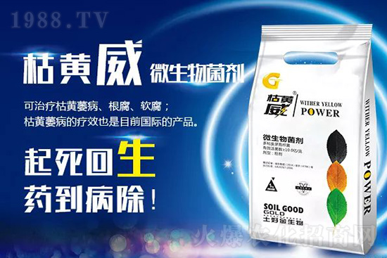 ���Sή�����ݵȲ������Ӝ皢�������͉��ˣ�