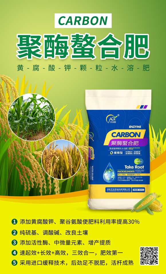 �ӱ������r�I(y��)�Ƽ����޹�˾889087_01