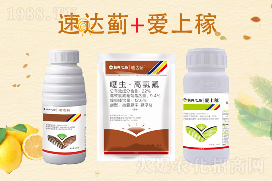 2022.4.11���ͪ?d��)��x���r(ji��)���߄�(sh��)