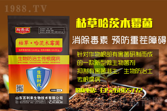 ���������l(f��)��ô���Σ���������ʲôˎ�÷���Ч������