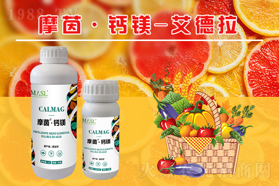 �����a�}�S���ځ���������a���}�V�ʣ�