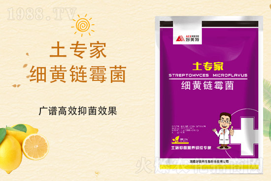 ���@�r�����ٝq����4��2�ո������@�r��