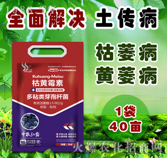     �����Բ�������Щ������ˎ����ô�x��һƪ�����f����