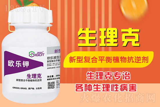 ����Ě������ʲô�Y���ô��Q����Ě������