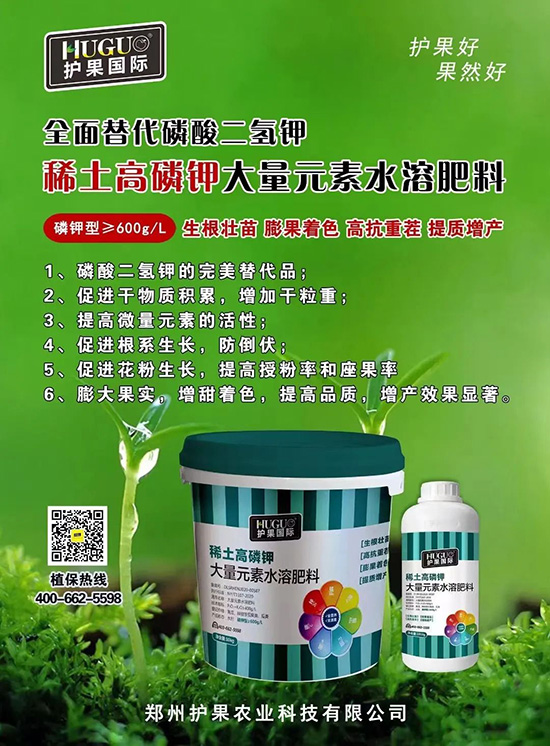 ⛷ʴ�q�r(ji��)���@�N⛷����(sh��)���������������������ռ���f(w��n)�Ј�(ch��ng)